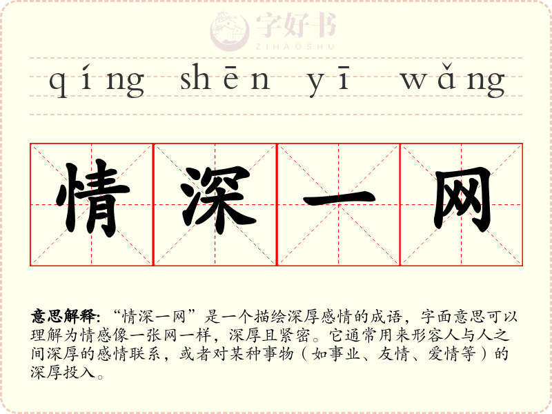 情深一网