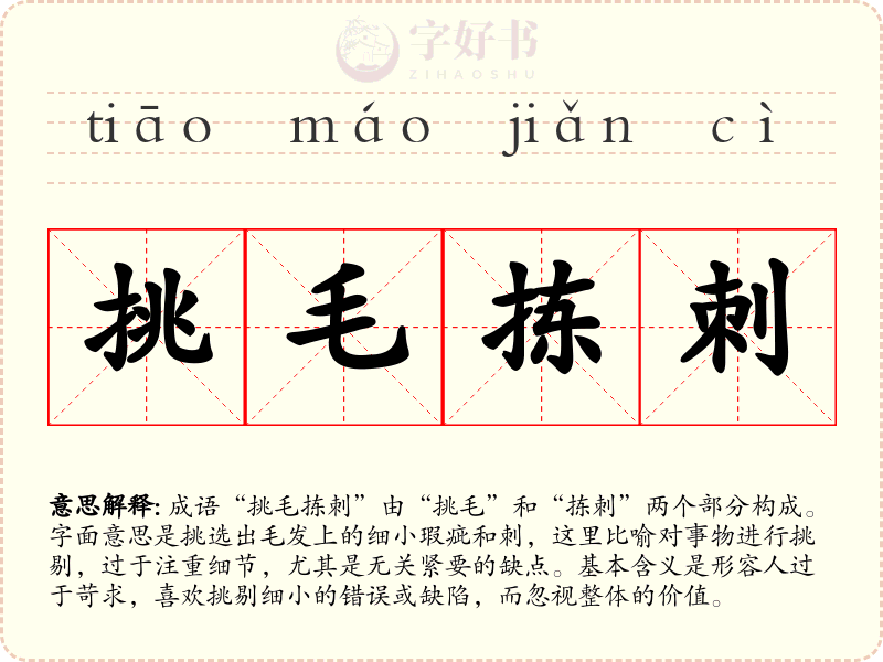挑毛拣刺