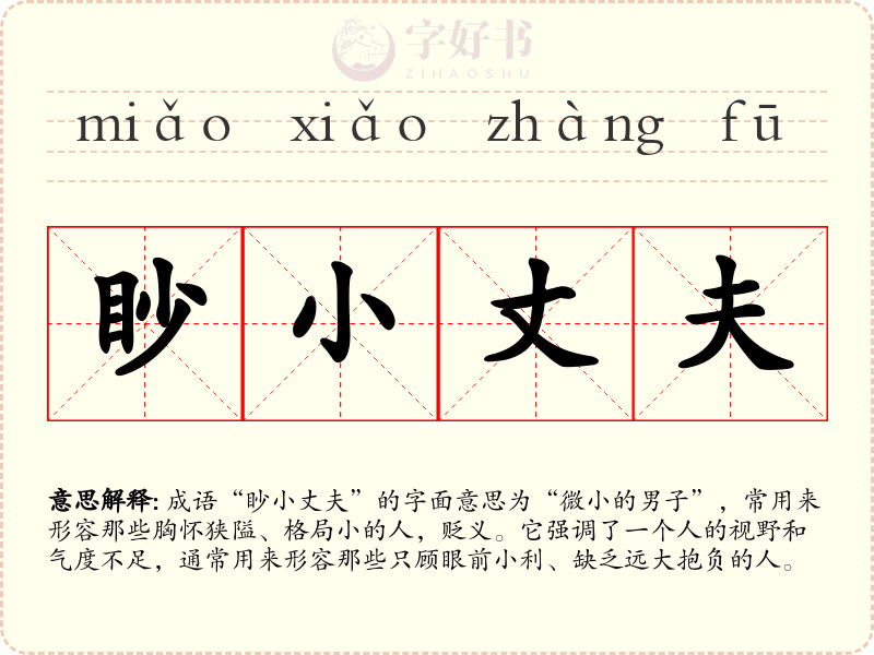眇小丈夫