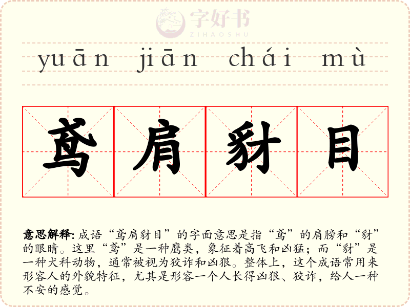鸢肩豺目