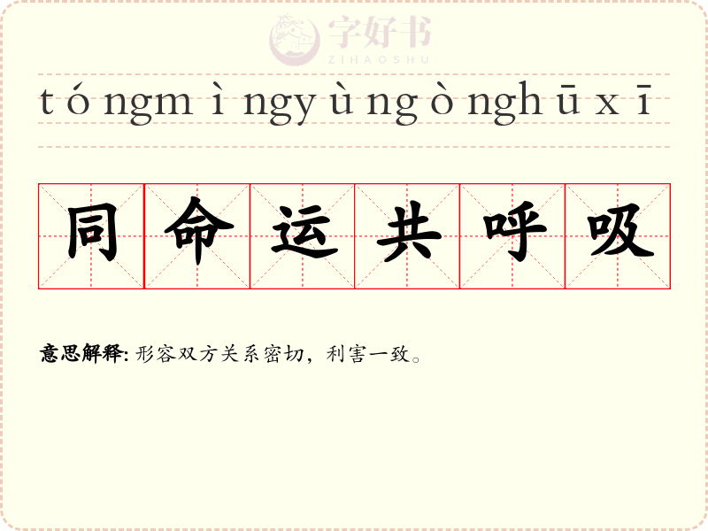 同命运共呼吸