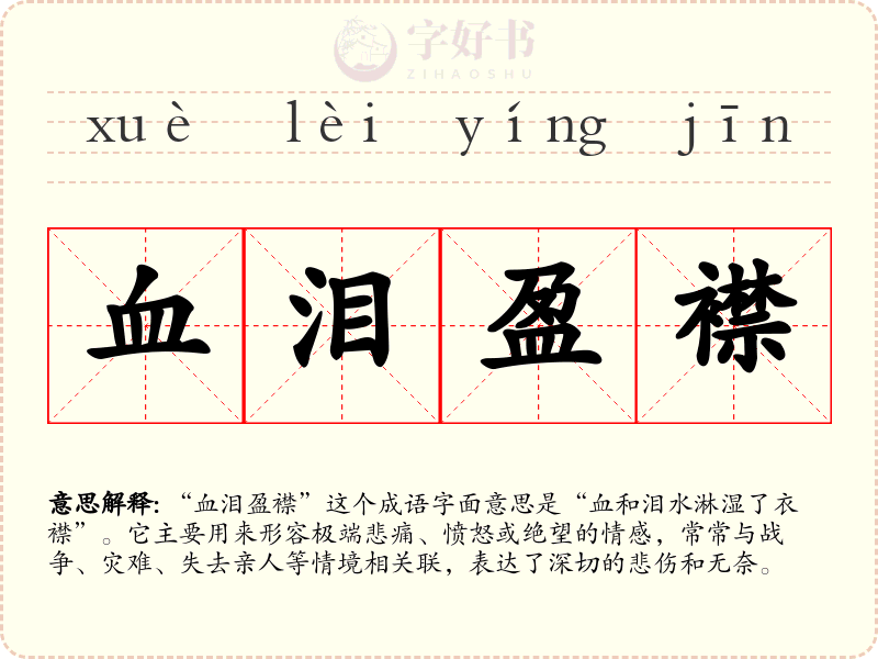 血泪盈襟