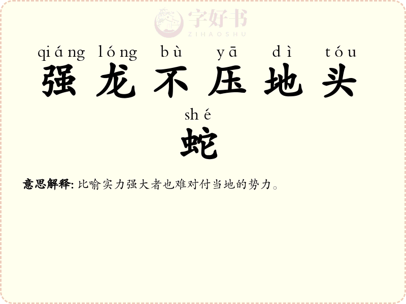 强龙不压地头蛇