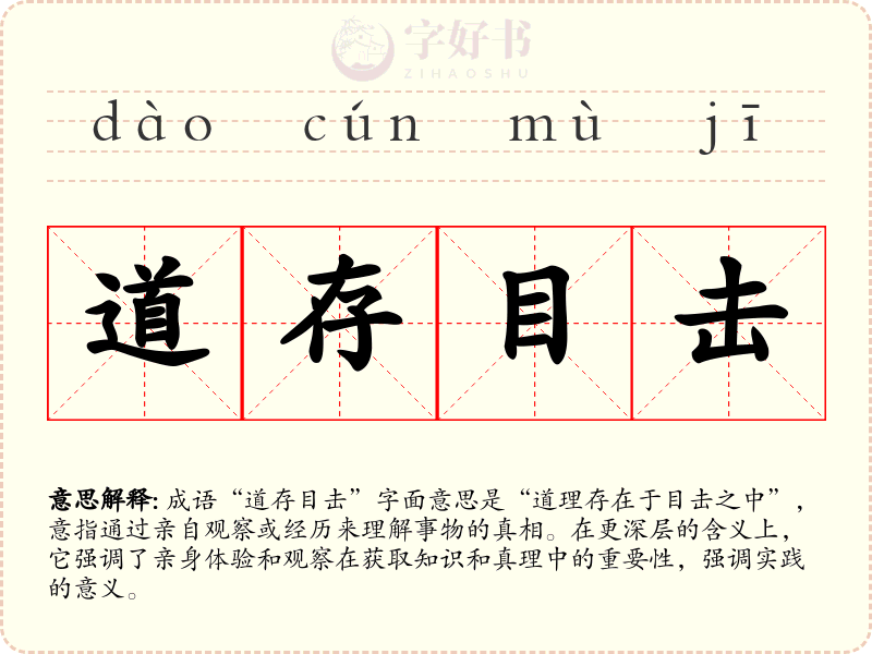 道存目击