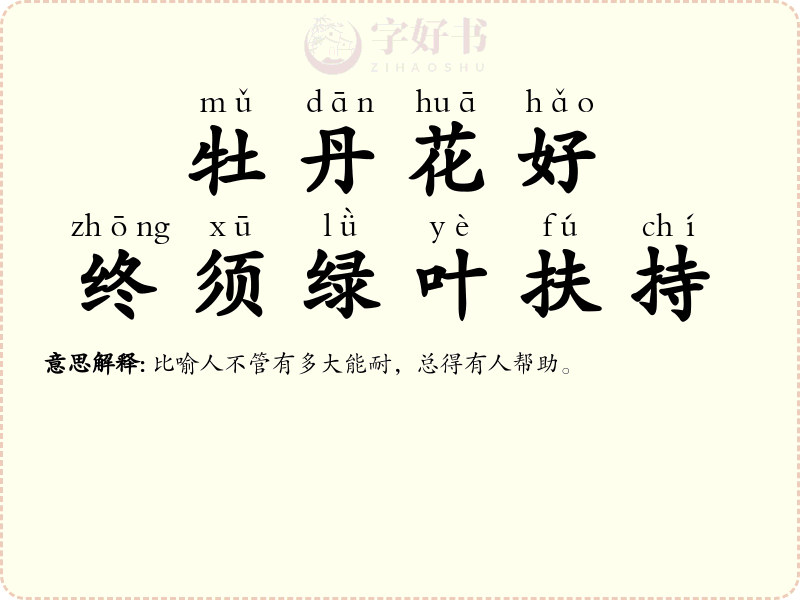 牡丹花好，终须绿叶扶持