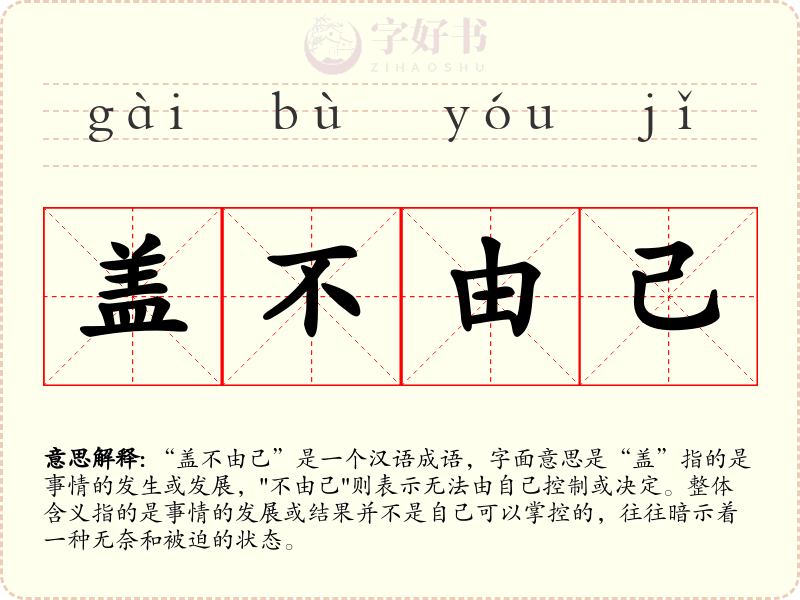 盖不由己