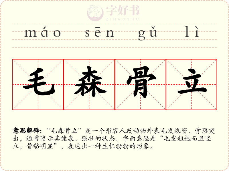 毛森骨立