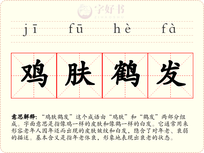 鸡肤鹤发