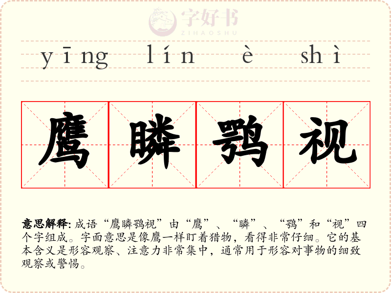 鹰瞵鹗视