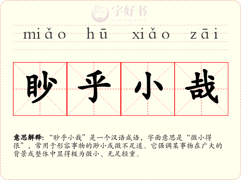 眇乎小哉