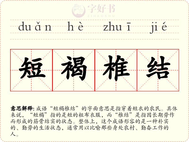 短褐椎结