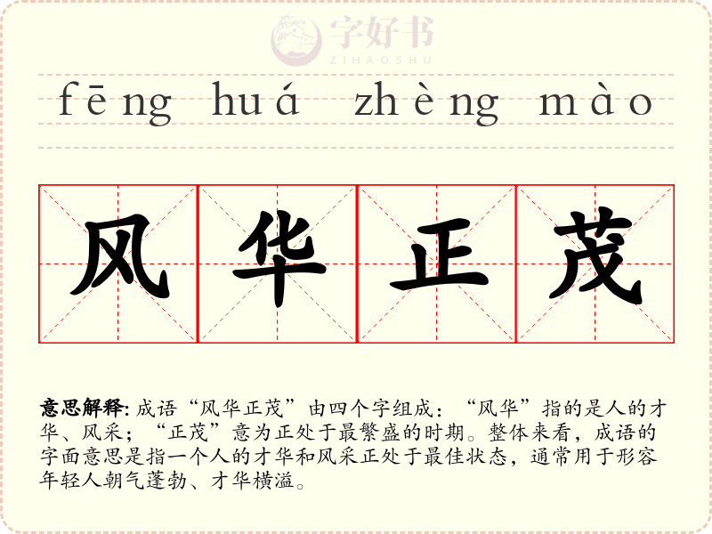 风华正茂