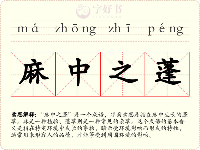 麻中之蓬