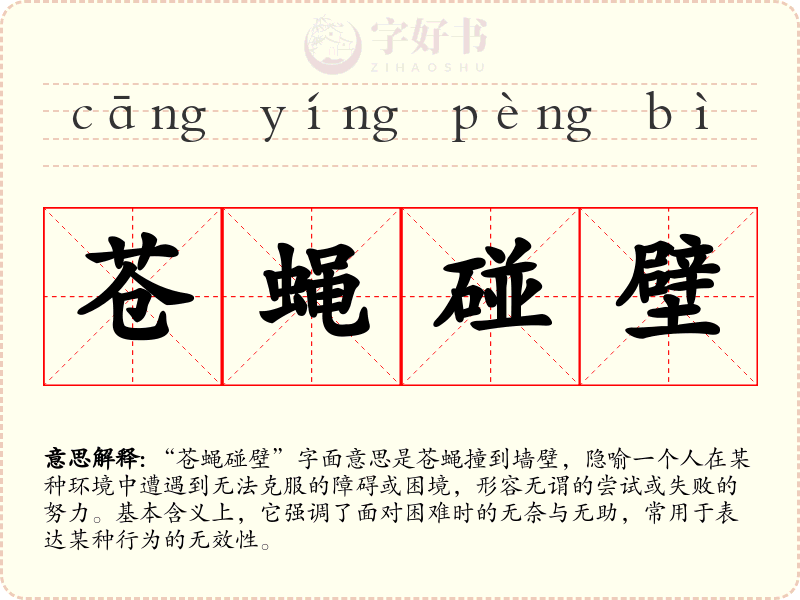 苍蝇碰壁
