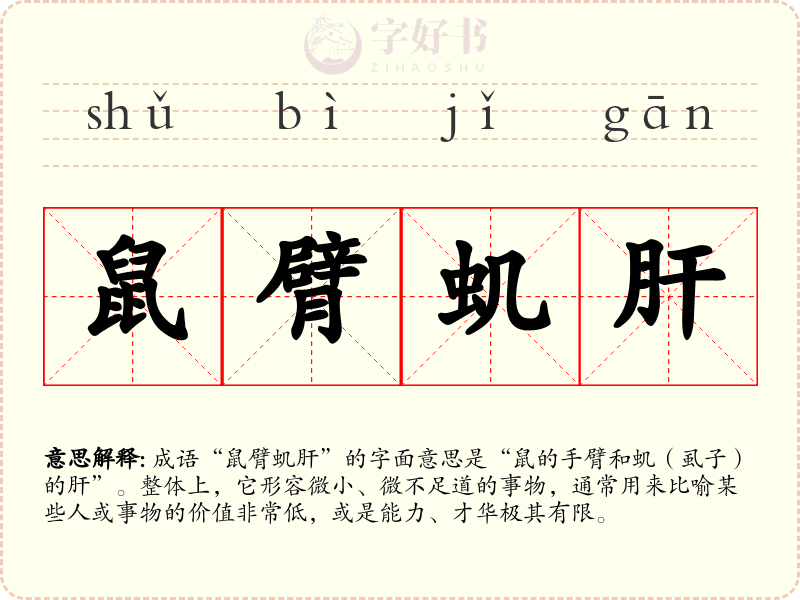 鼠臂虮肝