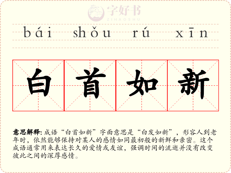 白首如新