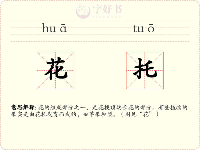 花托