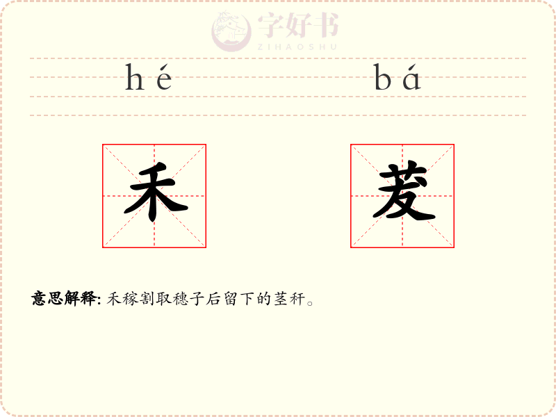 禾茇