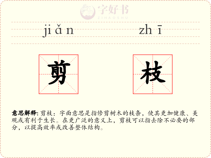 剪枝
