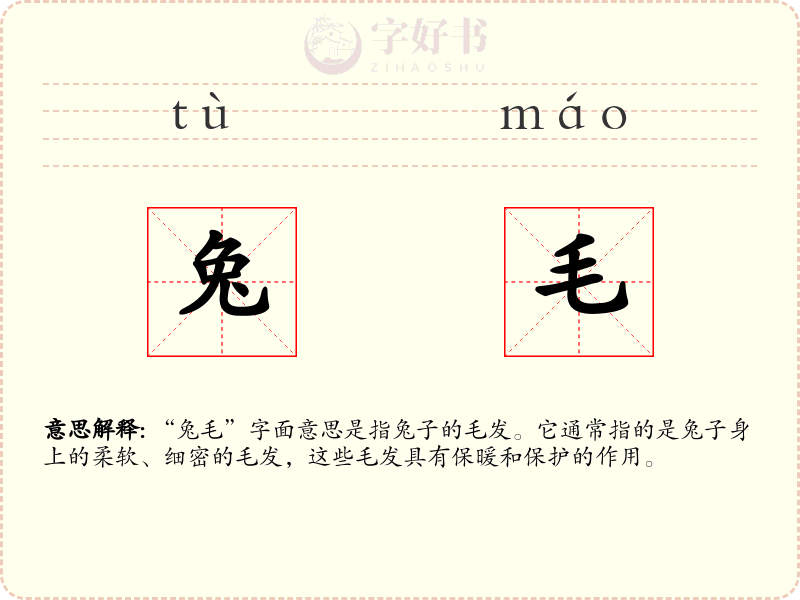 兔毛