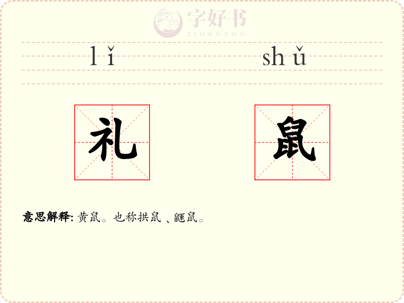 礼鼠