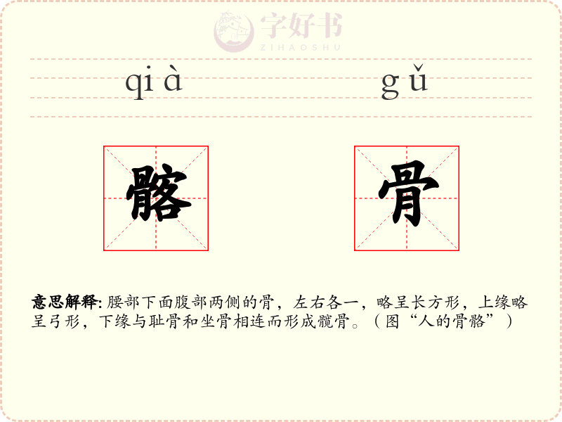 髂骨