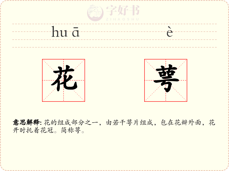 花萼