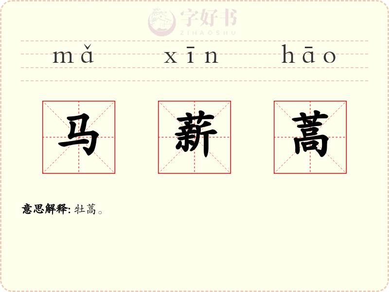 马薪蒿