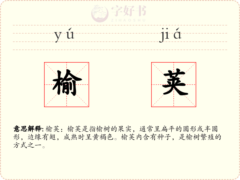 榆荚