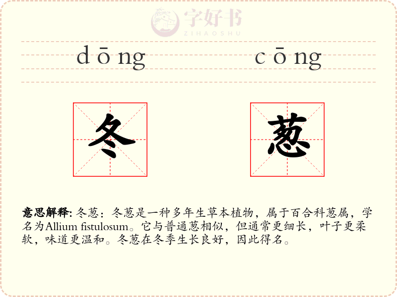 冬葱
