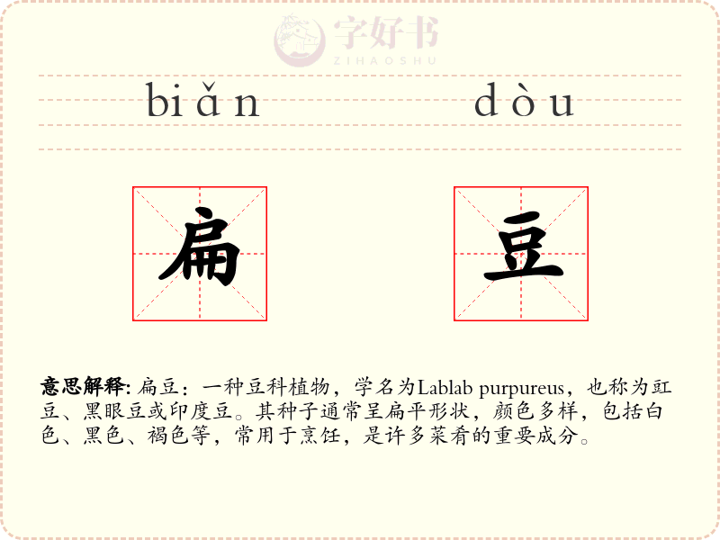 扁豆
