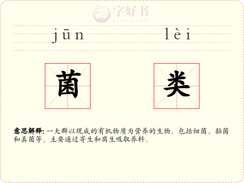 菌类