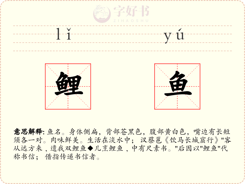 鲤鱼