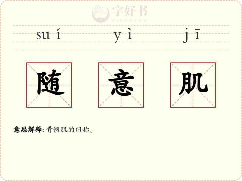 随意肌