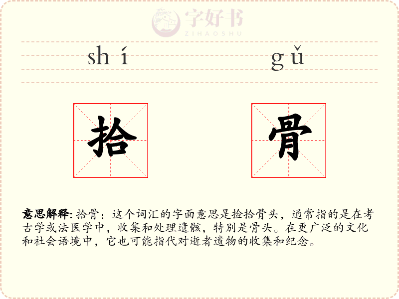 拾骨