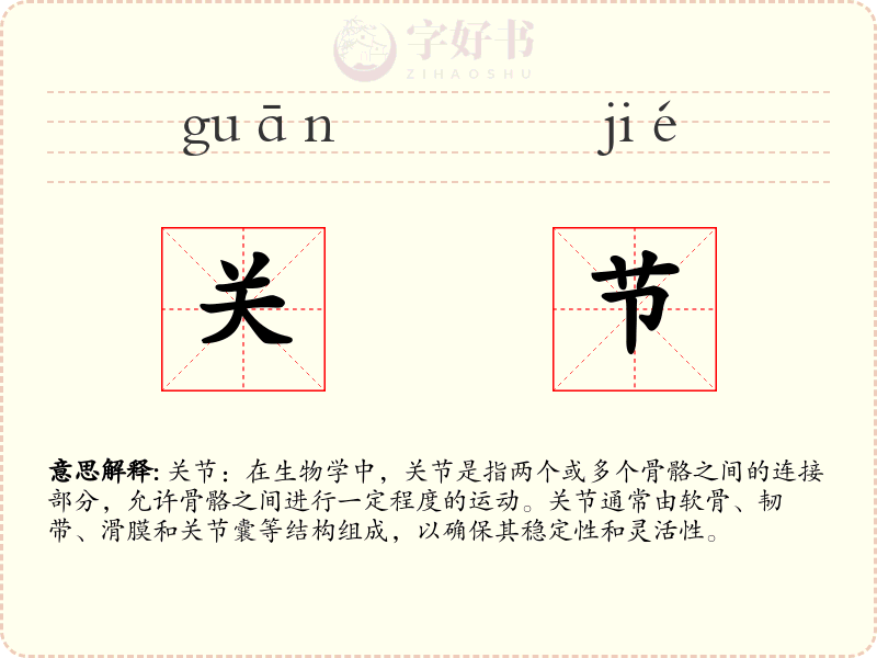 关节