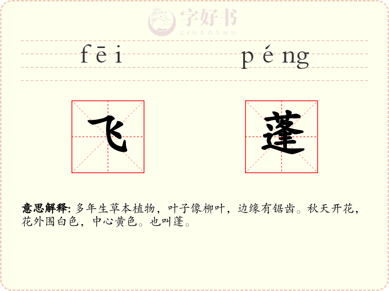 飞蓬