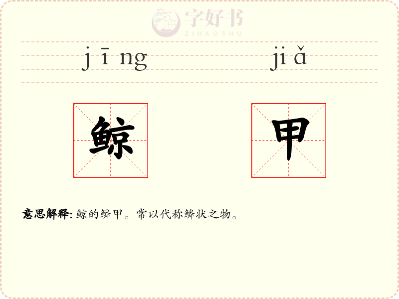 鲸甲