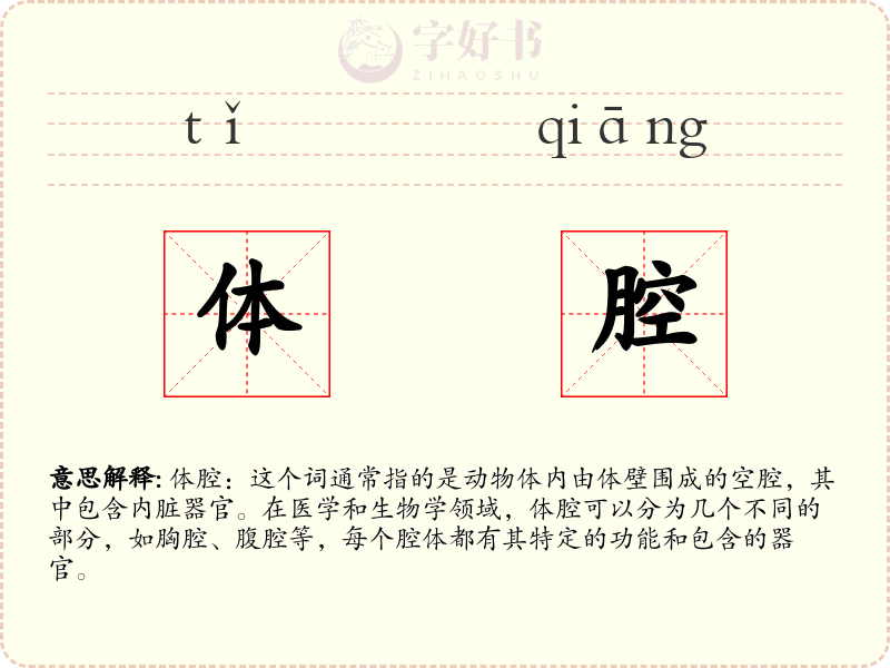 体腔