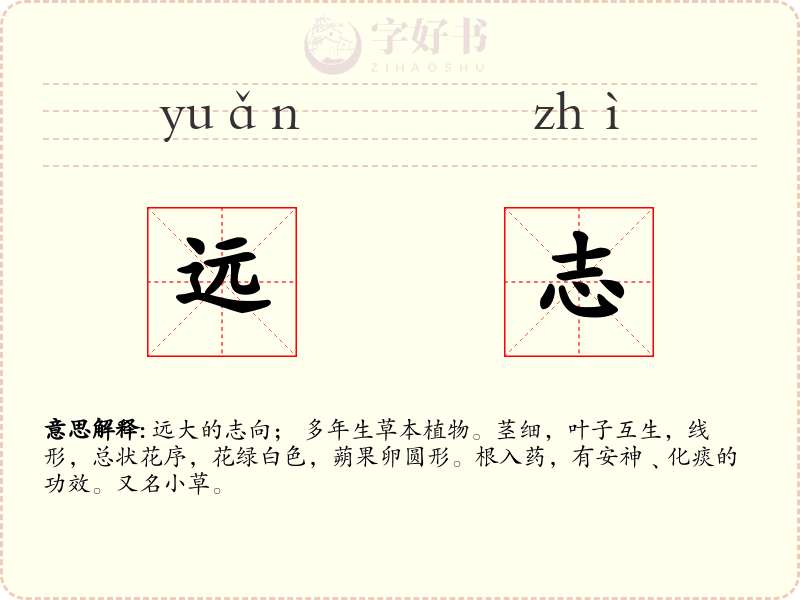 远志