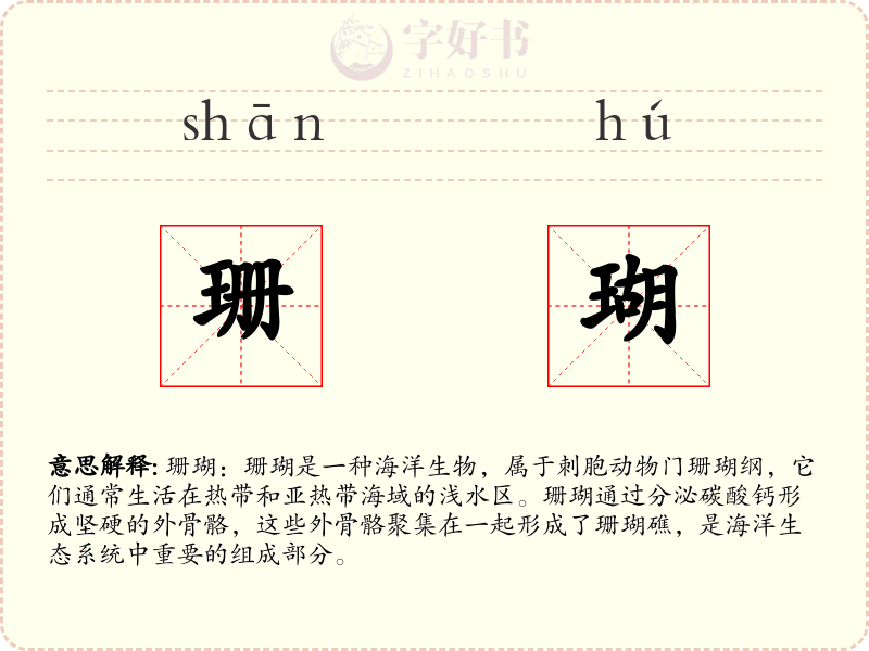 珊瑚