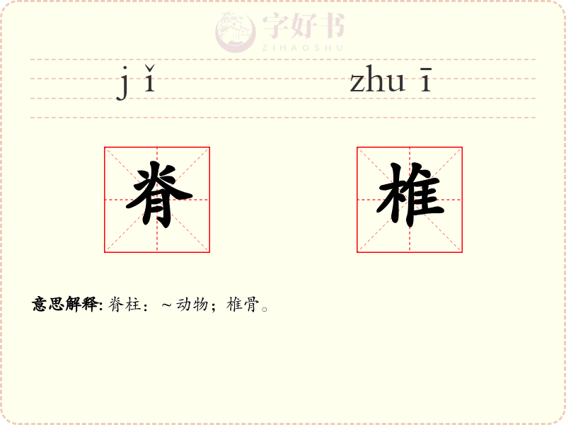脊椎