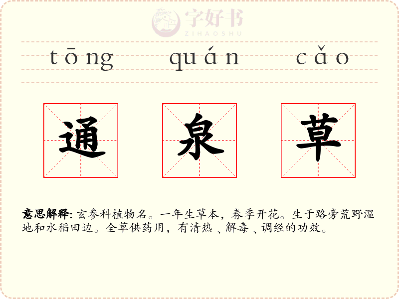 通泉草