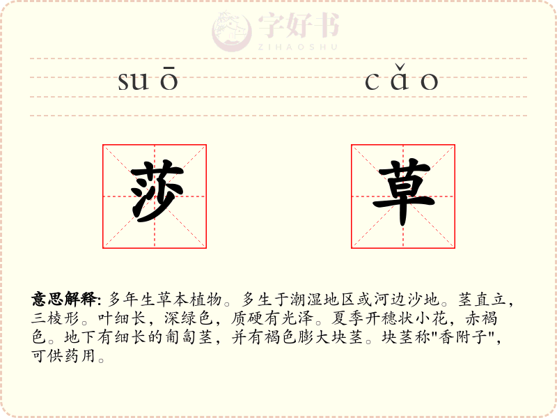 莎草