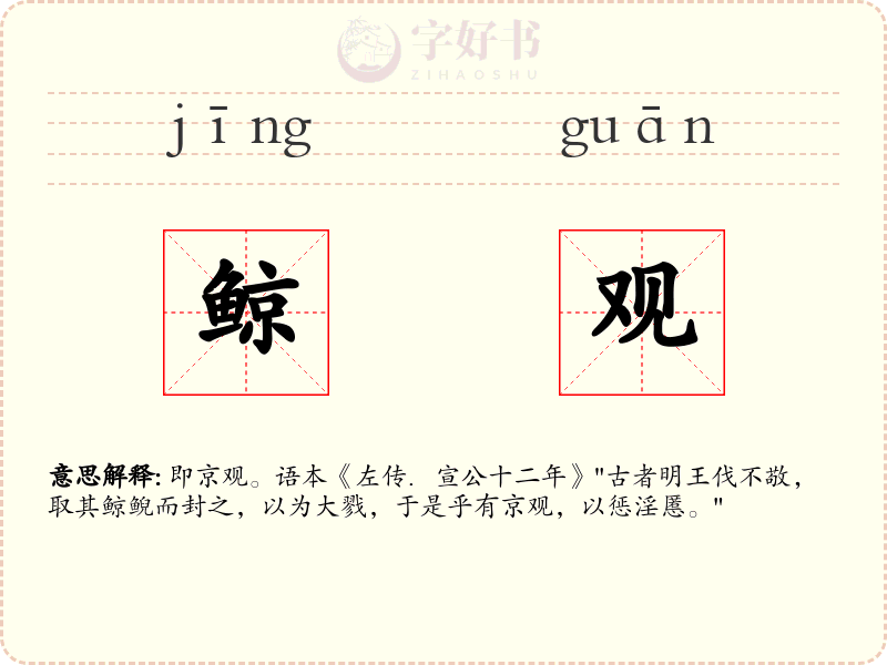鲸观