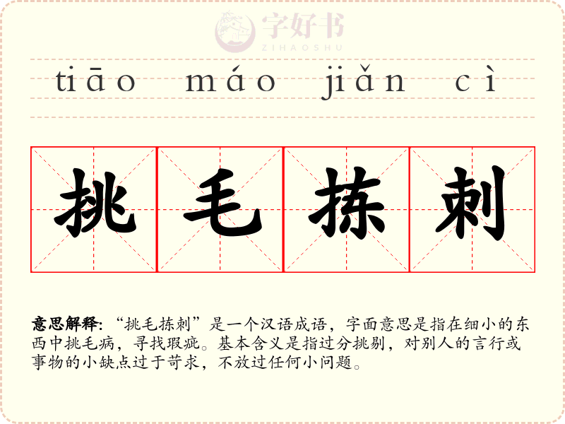 挑毛拣刺