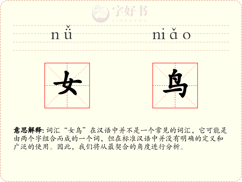 女鸟