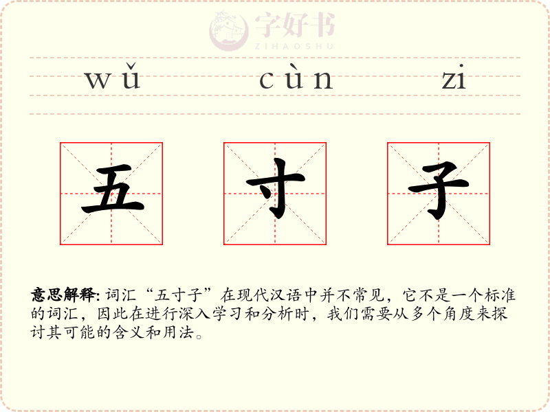 五寸子