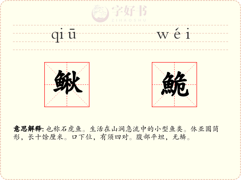 鳅鮠