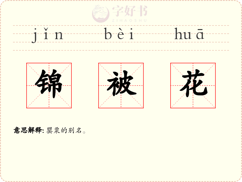 锦被花